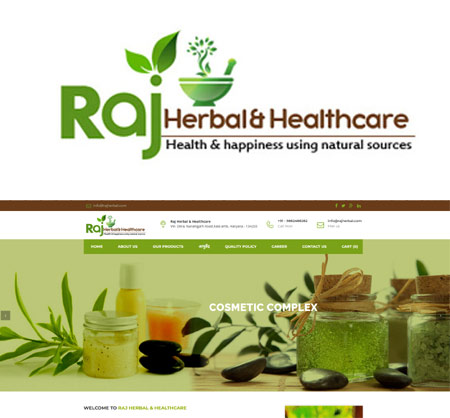 Raj Hearbal & HealthCare