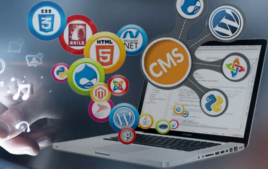 CMS Web Development