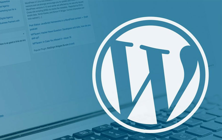Wordpress web development
